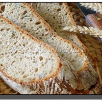 Pšeničný dýňový chléb