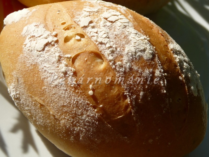 Bulky chudého vandrovníka (v trojí verzi)