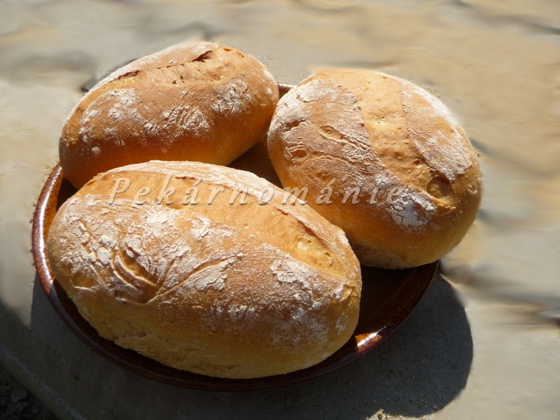 Bulky chudého vandrovníka (v trojí verzi)