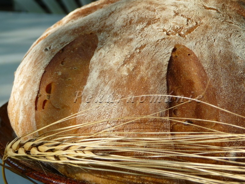 Lněný chleba s omládkem