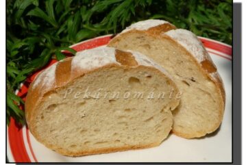 Pšenično - žitné bulky