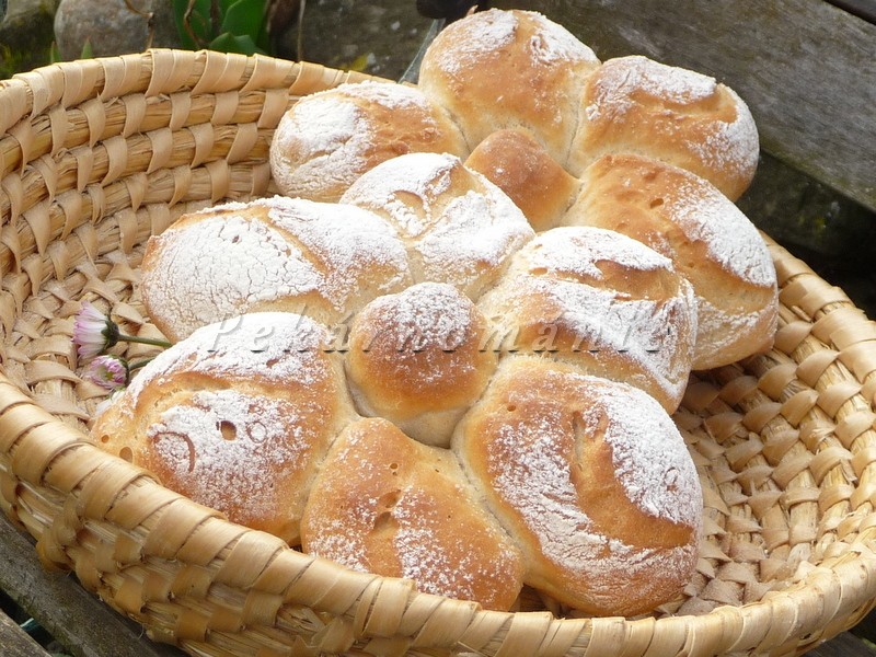 Sedmikrásky