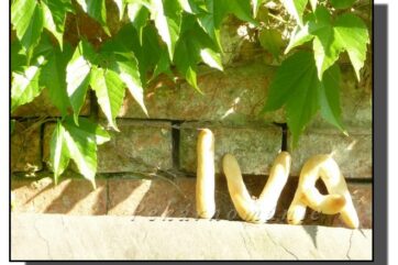 Písmena z kynutého těsta