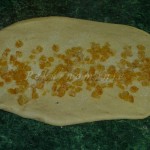 Pomerančové slunečnice