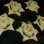 Pomerančové slunečnice