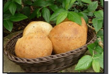 Pšeničné kváskové bulky se sezamem