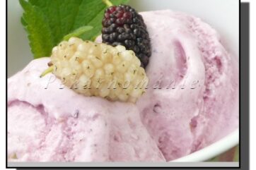 Domácí zmrzlina z moruší