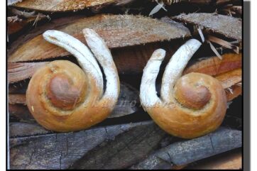 Šnečku, šnečku....