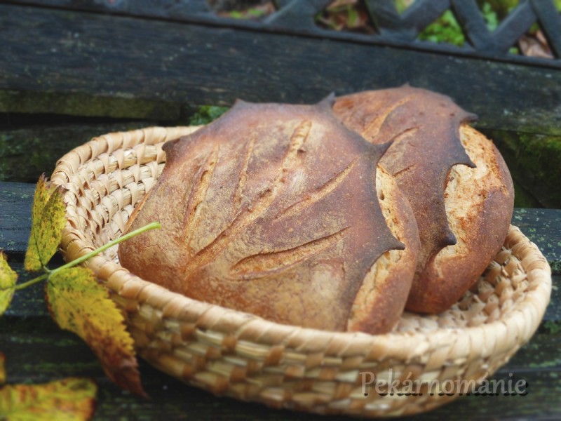Pšenično-žitný chléb s listem