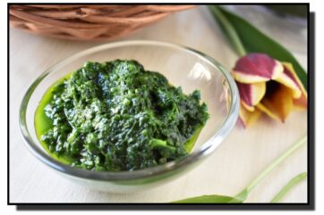 Pesto z medvědího česneku