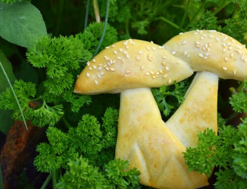 Hříbky (houby)